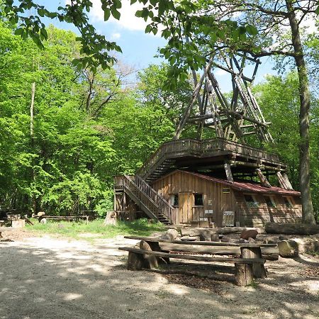 OberkreuzstettenOchys Waldfreizeitpark别墅 外观 照片