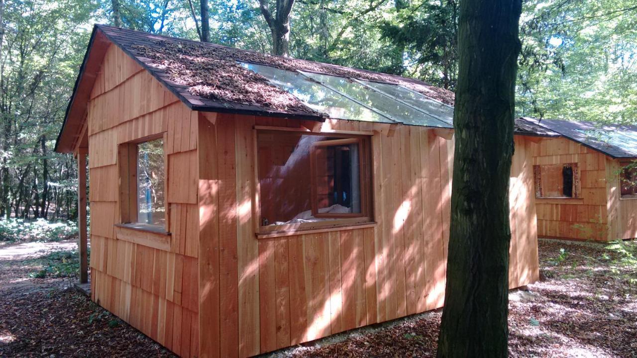 OberkreuzstettenOchys Waldfreizeitpark别墅 外观 照片