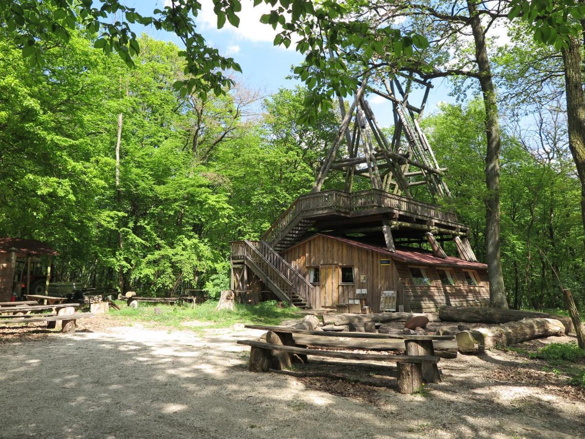 OberkreuzstettenOchys Waldfreizeitpark别墅 外观 照片