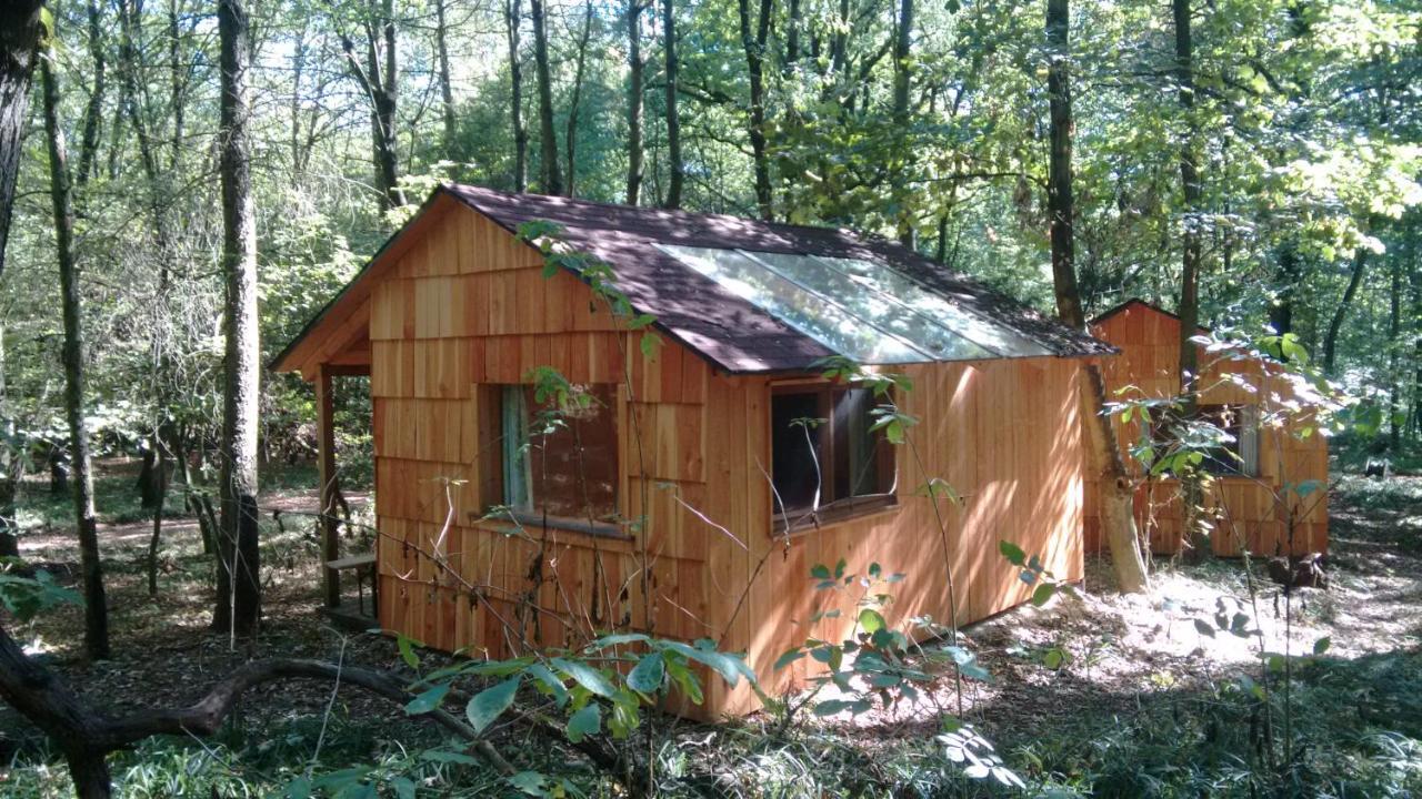 OberkreuzstettenOchys Waldfreizeitpark别墅 外观 照片
